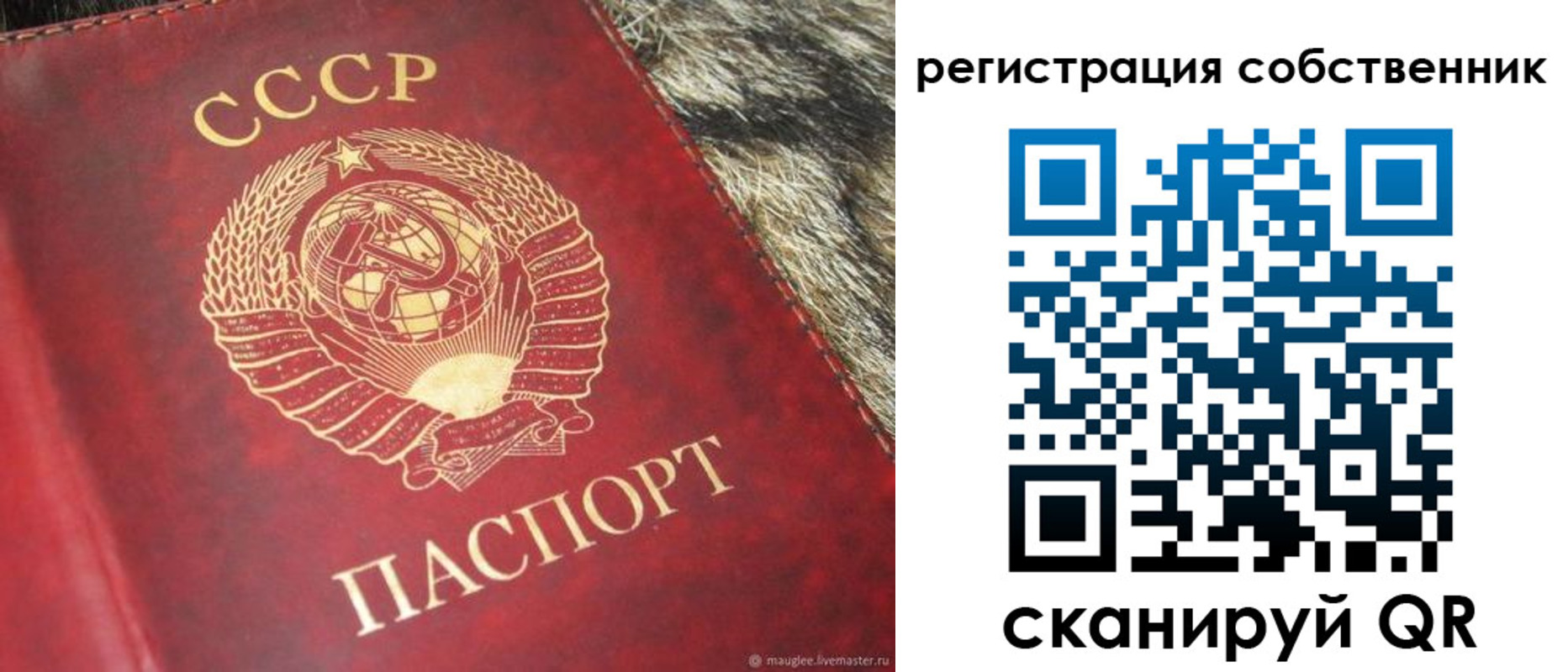 временная регистрация надежно в Калаче